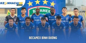 Quá Trình Thăng Trầm Tới Đẳng Cấp Của Becamex Bình Dương