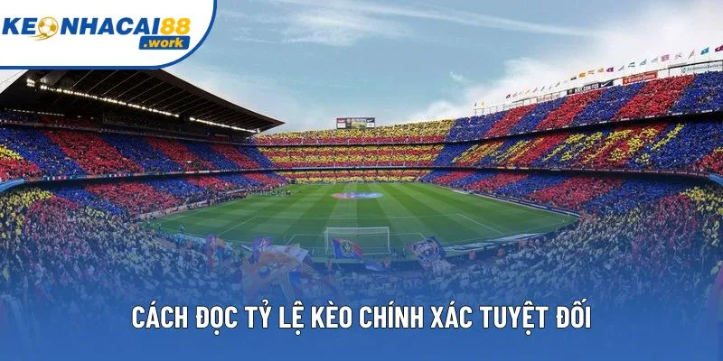 Cách đọc tỷ lệ kèo chính xác tuyệt đối