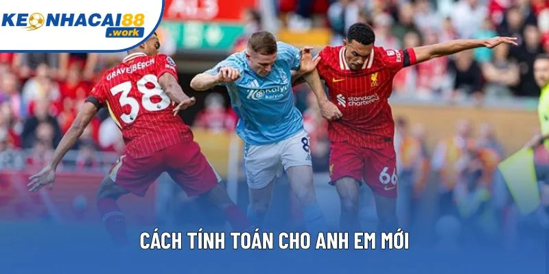 Cách tính toán cho anh em mới