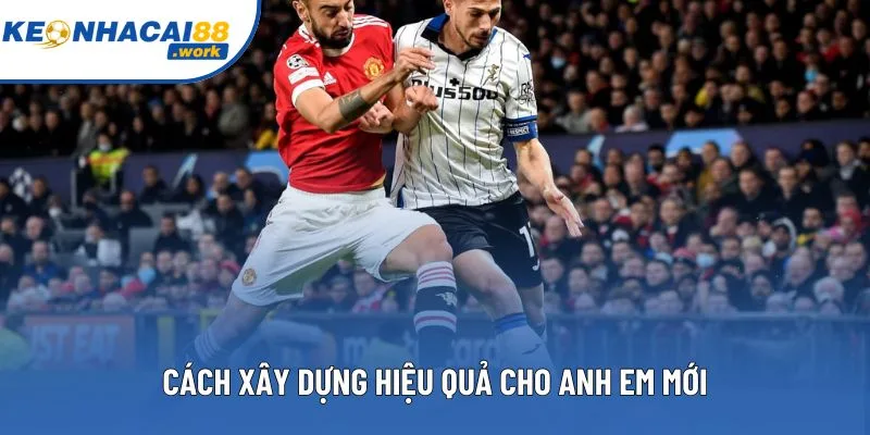 Cách xây dựng hiệu quả cho anh em mới