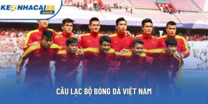 Câu Lạc Bộ Bóng Đá Việt Nam Và Những Dấu Ấn Vĩ Đại Nhất
