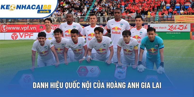 Danh hiệu quốc nội của Hoàng Anh Gia Lai Danh hiệu quốc nội của Hoàng Anh Gia Lai