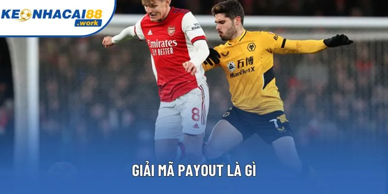Giải mã Payout là gì