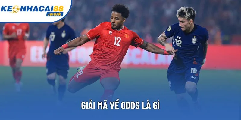 Giải mã về odds là gì