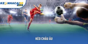 Kèo Châu Âu: Chiến Thuật Đọc Kèo Giúp Bạn Thắng Lớn
