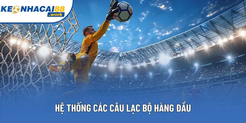 Hệ thống các câu lạc bộ hàng đầu