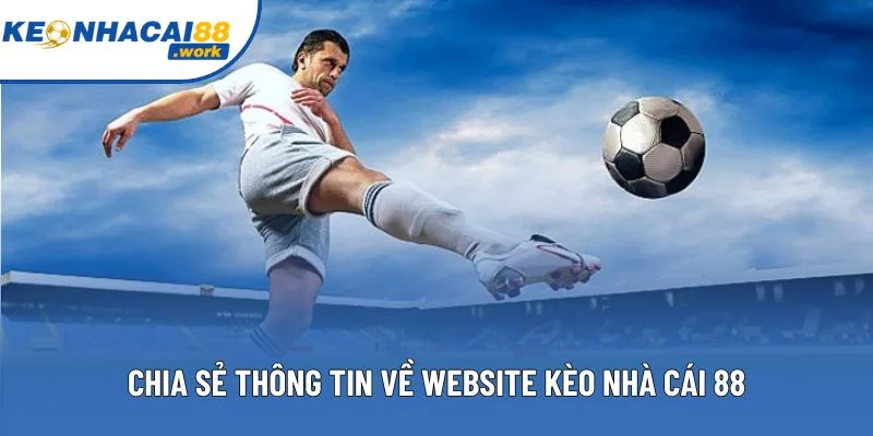 Chia sẻ thông tin về website Kèo nhà cái 88