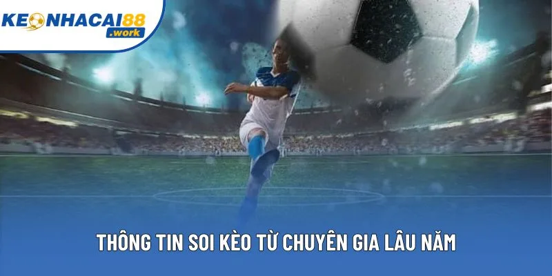Thông tin soi kèo từ chuyên gia lâu năm