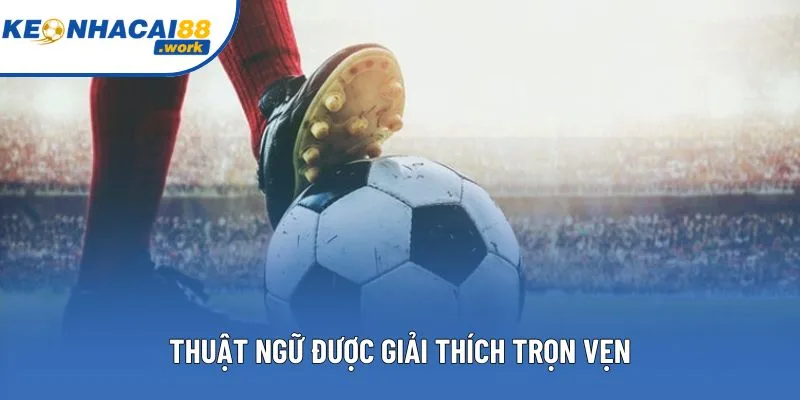 Thuật ngữ được giải thích trọn vẹn