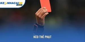 Kèo Thẻ Phạt – Hướng Dẫn Chơi Và Chiến Lược Hiệu Quả