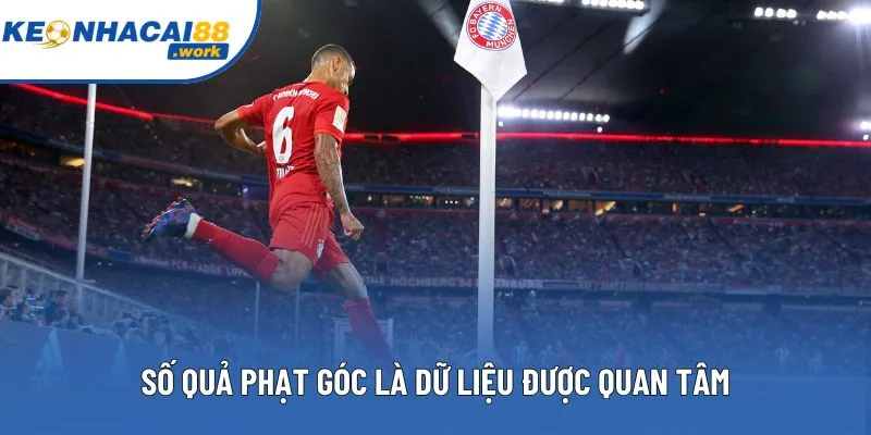 Những dữ liệu như số quả phạt góc cũng rất được quan tâm