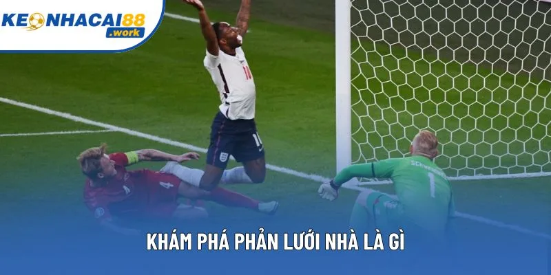 Khám phá phản lưới nhà là gì Khám phá phản lưới nhà là gì