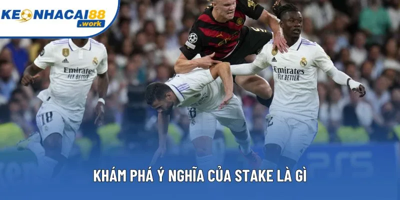 Khám phá ý nghĩa của Stake là gì