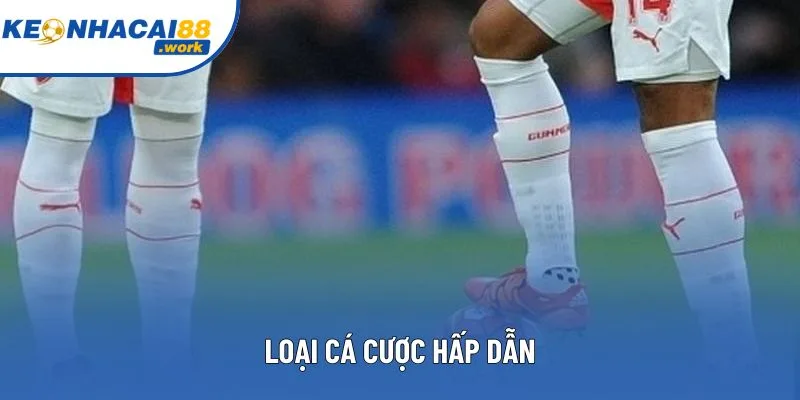 Loại cá cược hấp dẫn Loại cá cược hấp dẫn