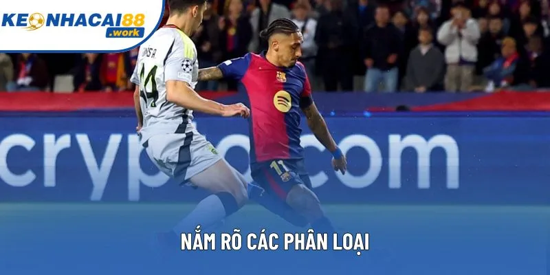 Nắm rõ các phân loại