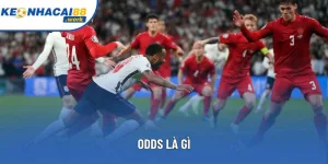 Odds Là Gì? Khám Phá Chi Tiết Thuật Ngữ Bóng Đá
