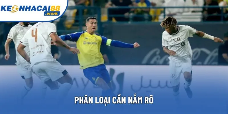 Phân loại cần nắm rõ Phân loại cần nắm rõ