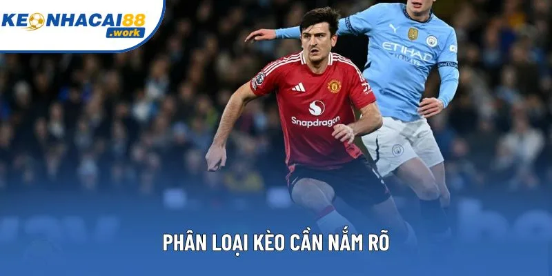 Phân loại kèo cần nắm rõ