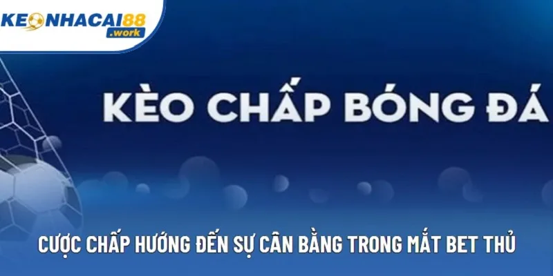 Cược chấp hướng đến sự cân bằng trong mắt bet thủ
