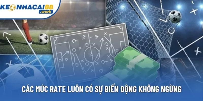 Các mức rate luôn có sự biến động không ngừng