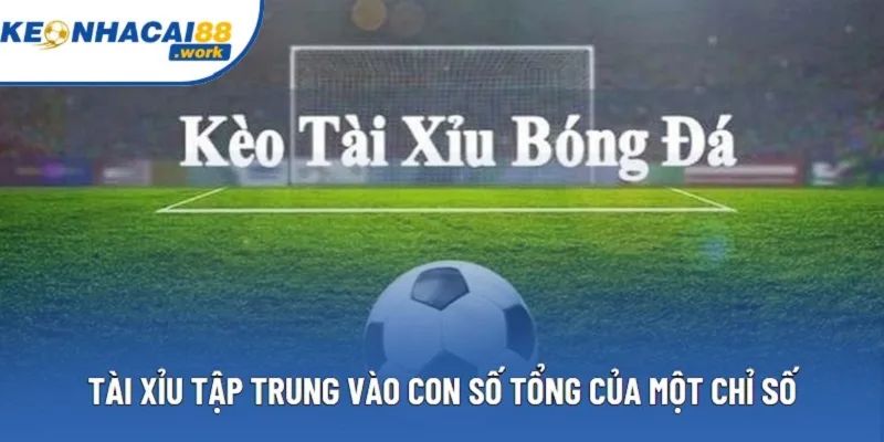 Tài xỉu tập trung vào con số tổng của một chỉ số