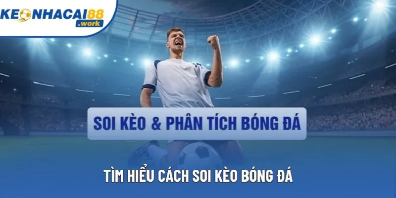 Tìm hiểu cách soi kèo bóng đá