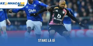 Stake Là Gì? Tìm Hiểu Ý Nghĩa Và Ứng Dụng Trong Bóng Đá